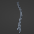 Pe ee FA Archivo STL Columna vertebral・Diseño para descargar y imprimir en 3D
