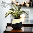 PISA_Planter_Front_wooden-table-bokeh.jpg PISA  |  Self-Watering Planter