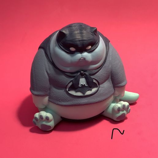 IMG_A046D275AFED-1.jpeg batman cat