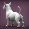 bull-terrier6.jpg bull terrier 3D print model