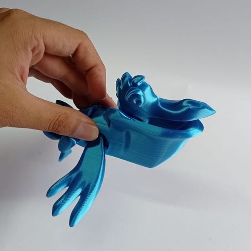 WhatsApp-Image-2021-07-02-at-10.53.17-AM.jpeg Flying Pelican Flexi