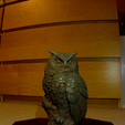 photo.png Dollarama Owl