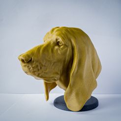 20210428_115916.jpg STL file Basset Hound・Model to download and 3D print