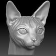 3.jpg Sphynx cat head for 3D printing