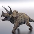 trice white background.jpg Triceratops Realistic Dinosaur low/ high Poly