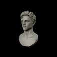 19.jpg Timothee Chalamet bust sculpture 3D print model