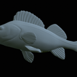 Perch-statue-36.png fish perch / Perca fluviatilis statue detailed texture for 3d printing