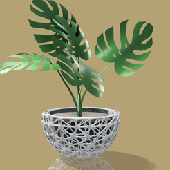 Vaso-Organico-P.P-OK.png Free STL file Organic plant pot lattice #1・3D printer model to download