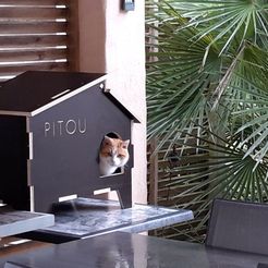 2019-05-25_19.54.52.jpg House for Pitou the Cat
