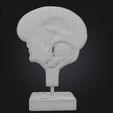 3.jpg 3D Model of Cerebrospinal Fluid Brain