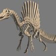 17.jpg Spinosaurus Complete Skeleton