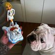 WhatsApp-Image-2021-02-24-at-19.39.31-(2).jpeg Super-Mario The English Bulldog and super-girl for 3D Printing