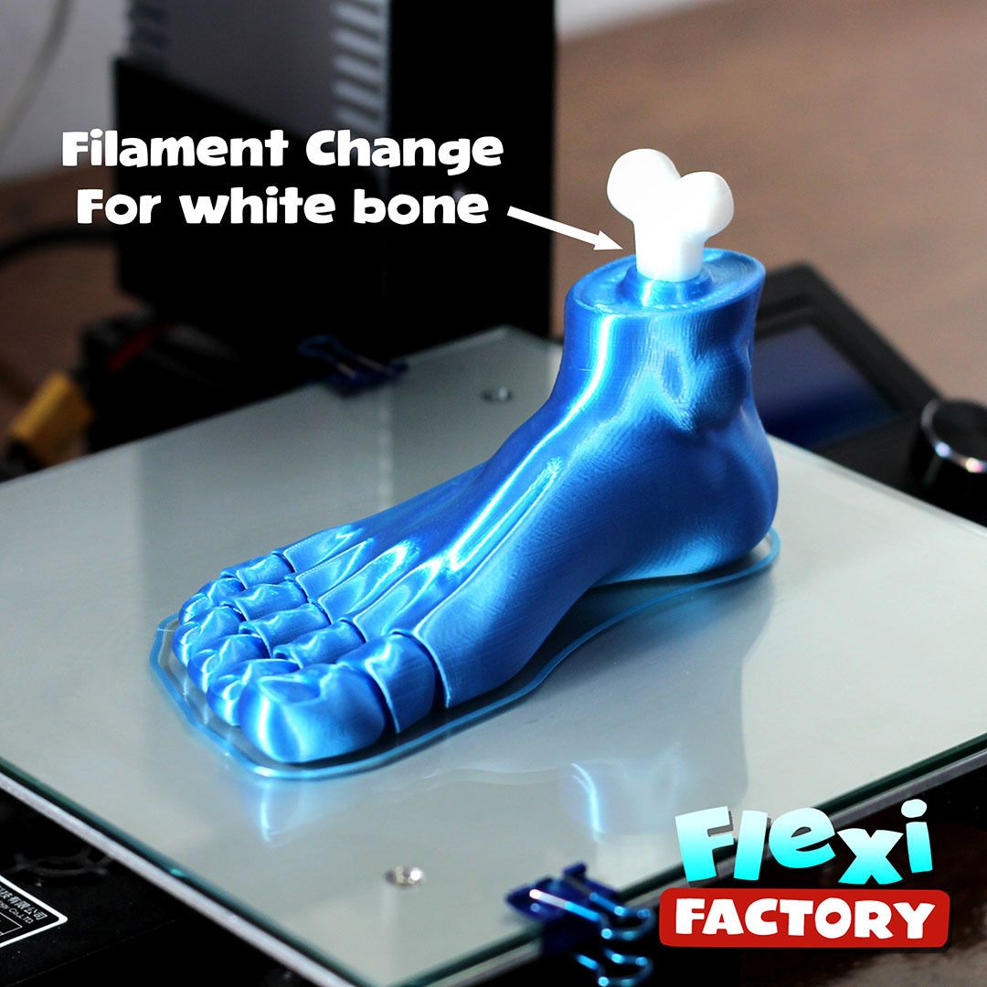 Foot_9.jpg STL-Datei Flexi Print-in-Place Fuß herunterladen • Vorlage für den 3D-Druck, FlexiFactory