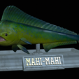 mahi-mahi-mouth-statue-4.png fish mahi mahi / common dolphin fish open mouth statue detailed texture for 3d printing