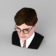 untitled.356.jpg Harry Potter bust ready for full color 3D printing