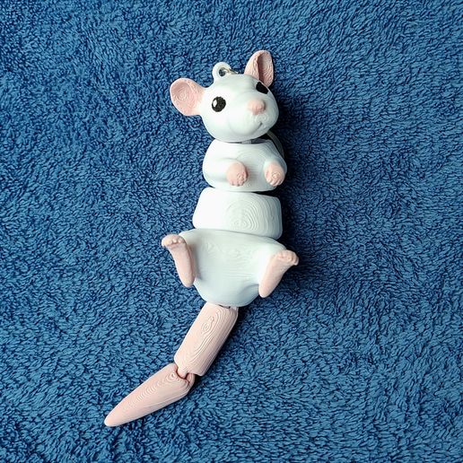 IMG_20240516_143612757.jpg Ratte Schlüsselanhänger