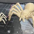 Articulated Tarantula