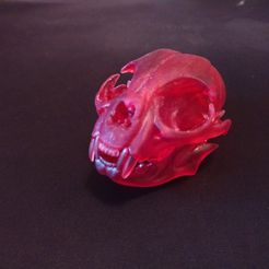 1614110082828.jpg "Cat Skull" : 3D file for sale