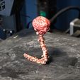 IMG_4643.jpg Brain Monster Miniature Figurine Static
