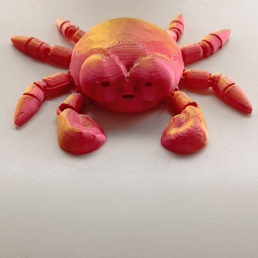 2c897146-0218-40b8-a922-45e641187465.jpeg Crabe flexible