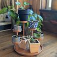 Locked-and-loaded.jpg Plant Stand(Clean Geometric & Holds 5 Plants)