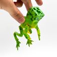flexi-creeper-toad-3D-MODEL-5.jpg MINECRAFT Flexi Creeper Toad Frog articulated print-in-place no supports