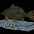 carp-statue-15.png fish carp / Cyprinus carpio statue detailed texture for 3d printing