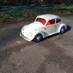 IMG_20210306_102937670.jpg STL-Datei VOLKSWAGEN COX BEETLE BODYWORK・3D-druckbares Design zum Herunterladen