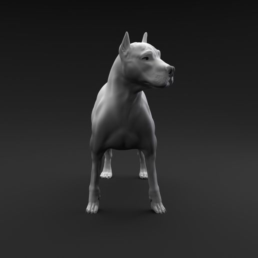 Custodia Pit Bull West Coast TNT 3D - Semirigida, Nero, Con Cintura Regolabile - Foto 7