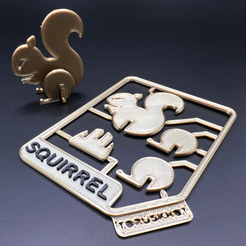 Hero_Image.png Cute Squirrel Kit Card