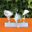 IMG_20170614_161631-small.jpg STL file REBUS ABUSES 3D: a singer-actor?・3D printer model to download