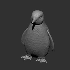 01.jpg Penguin