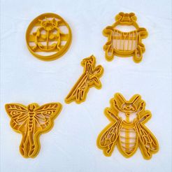 WhatsApp-Image-2023-02-03-at-14.37.30.jpeg STL-Datei Ausstechform Insekten x5・Design zum Herunterladen und 3D-Drucken