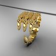 untitled.1809.jpg claw ring