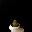6.jpg Small plant pot (Small Planter)