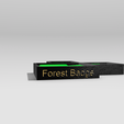 IMG_0850.png Forest Badge Sinnoh Gardenia