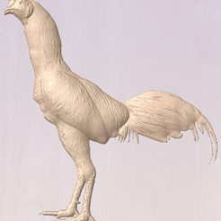 chicken.PNG STL-Datei Rooster Gamefoul game chicken asil cnc relief・3D-druckbares Design zum Herunterladen