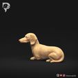 Dachshund-Miniature-Smooth-Haired-Pose-09-Dog-3D-Print-8s.jpeg Dachshund Miniature Smooth Haired Pose 09