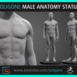 1.jpg Male Anatomy Statue
