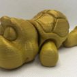 tortue flexible