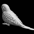 2023-10-04_22-25_1.png Budgie