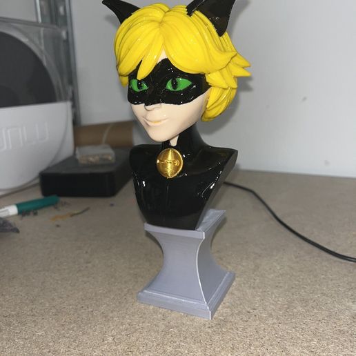 photo_2023-03-20_16-52-13-3.jpg Black Cat MIRACULOUS