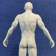 Cuerpo_Anatomia_Tras.jpg Male body anatomy