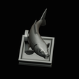 common-carp-trophy-2-2-1-39.png COMMON CARP (CYPRINUS CARPIO) fish in motion trophy statue detailed texture for 3d printing