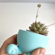 IMG_4309-conv.jpeg Set of 4 Minimalist Pokemon Planters / Pikachu / Bulbasaur / Charmander/ Squirtle
