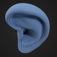 EarModel_4.png Human Ear