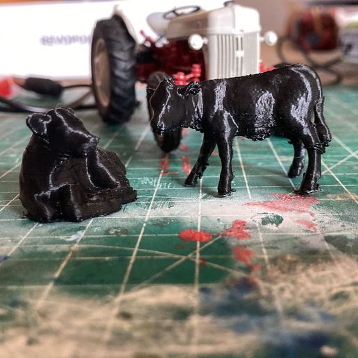 WhatsApp-Image-2023-02-19-at-12.41.41.jpeg mollet 2