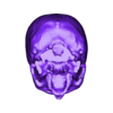 wfu_cbi_skull-hollow_bot.stl Cleaned Hollow Skull