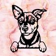 Sin-título.jpg toy terrier dog dog mural dog wall decorations