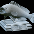 White-grouper-open-mouth-1-36.png fish white grouper / Epinephelus aeneus trophy statue detailed texture for 3d printing